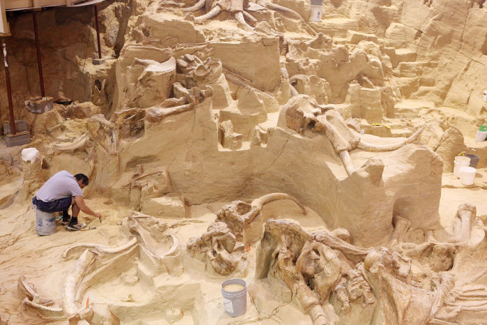 The Mammoth Site